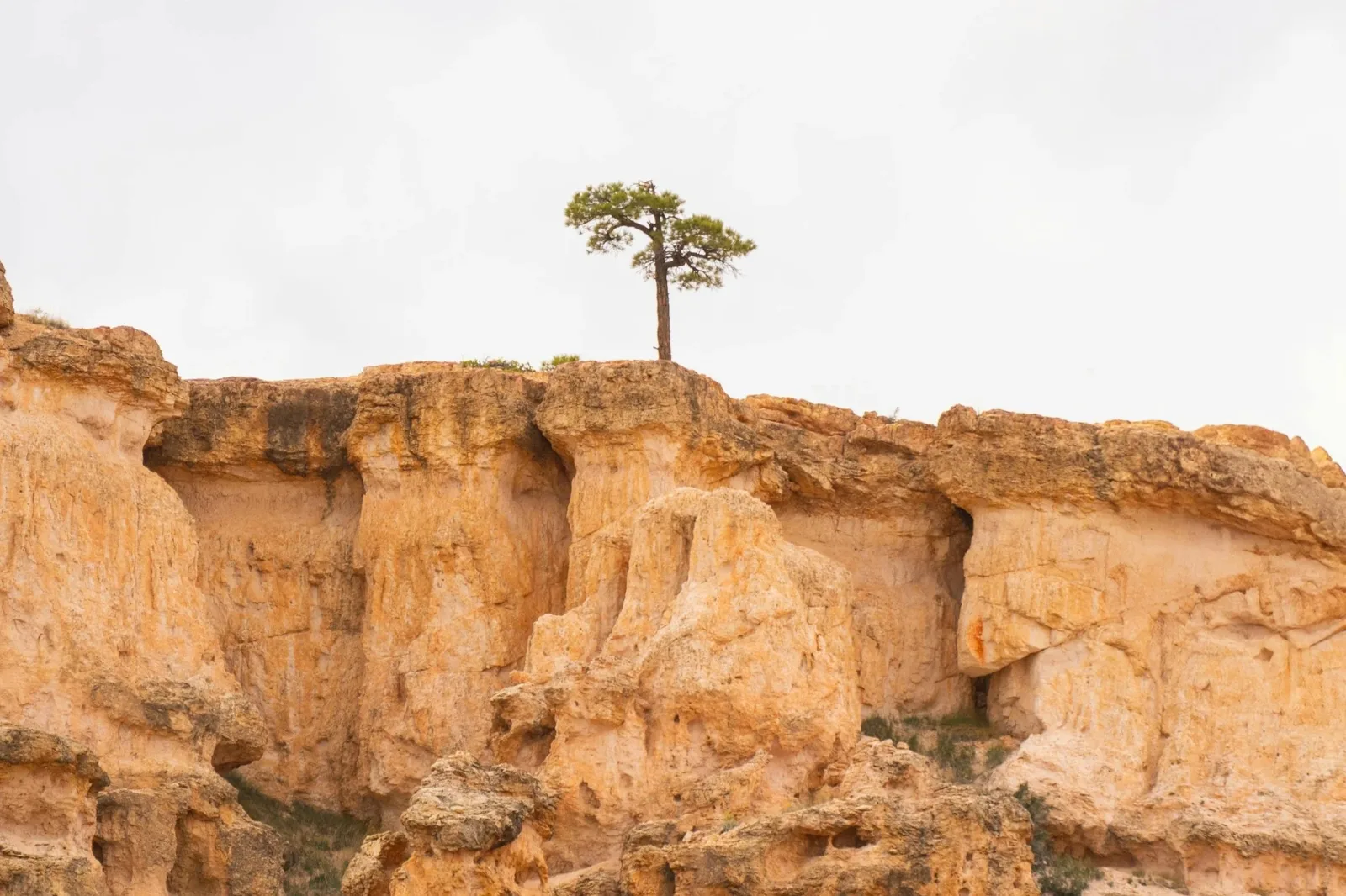 Utah landscape